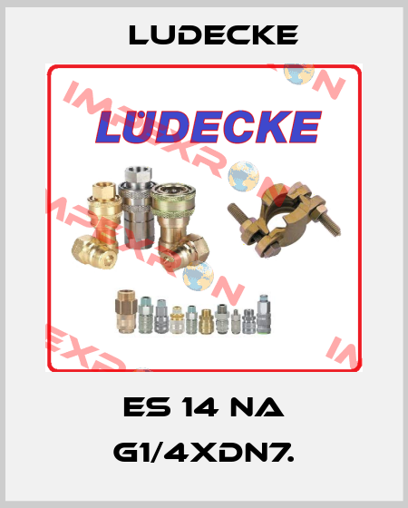 ES 14 NA G1/4XDN7. Ludecke