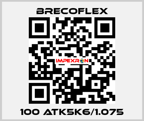 100 ATK5K6/1.075 Brecoflex