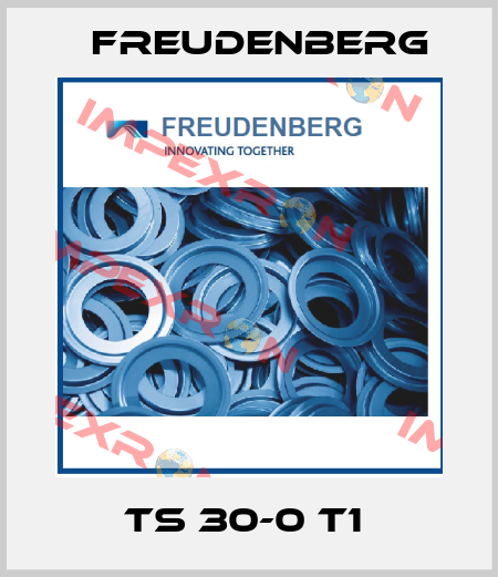 TS 30-0 T1  Freudenberg