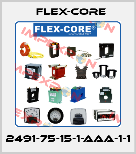 2491-75-15-1-AAA-1-1 Flex-Core
