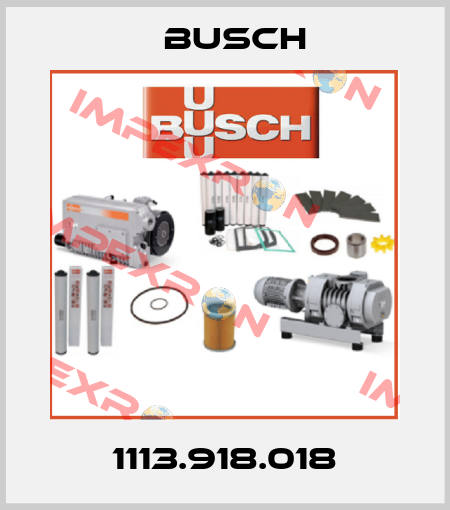 1113.918.018 Busch