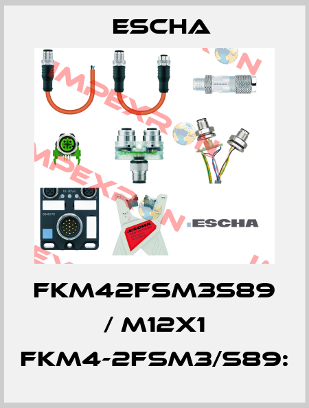 FKM42FSM3S89 / M12X1 FKM4-2FSM3/S89: Escha