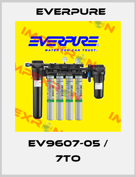 EV9607-05 / 7TO Everpure