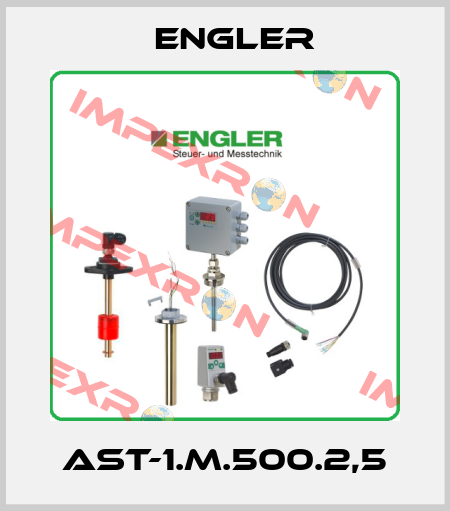 AST-1.M.500.2,5 Engler