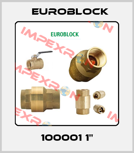 100001 1" Euroblock