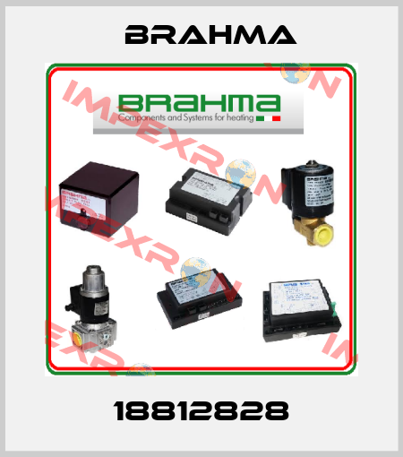 18812828 Brahma
