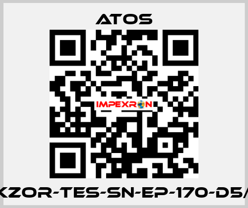 DKZOR-TES-SN-EP-170-D5/FI Atos
