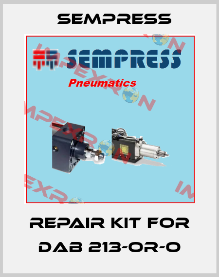 repair kit for DAB 213-OR-O Sempress