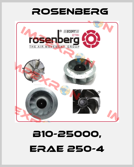 B10-25000, ERAE 250-4 Rosenberg