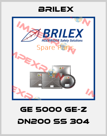 GE 5000 GE-Z DN200 SS 304 Brilex