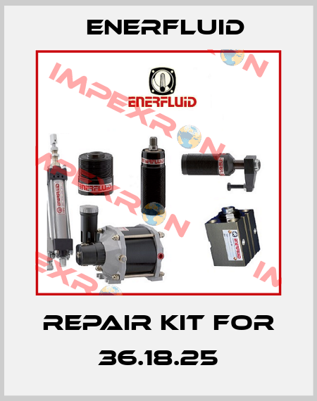 Repair kit for 36.18.25 Enerfluid