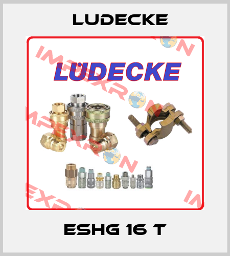 ESHG 16 T Ludecke
