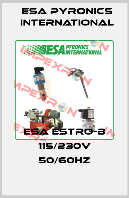 ESA ESTRO-B 115/230V 50/60Hz ESA Pyronics International
