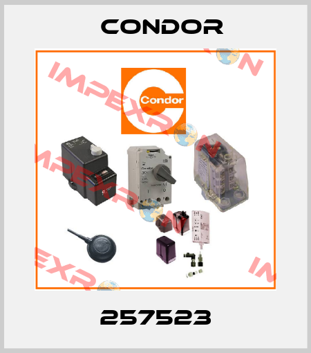 257523 Condor