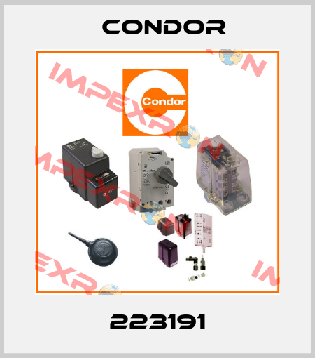 223191 Condor