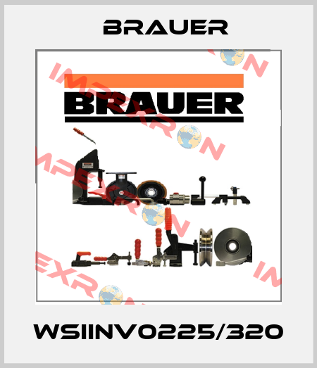 WSIINV0225/320 Brauer