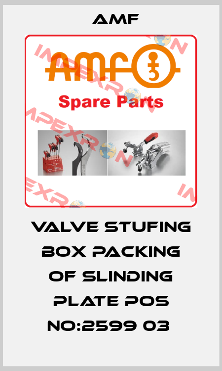 VALVE STUFING BOX PACKING OF SLINDING PLATE POS NO:2599 03  Amf