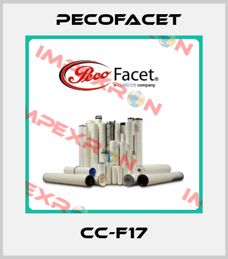 CC-F17 PECOFacet