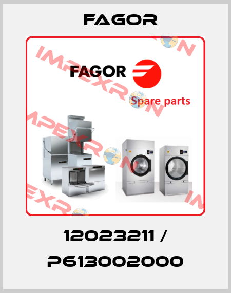 12023211 / P613002000 Fagor