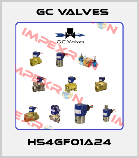 HS4GF01A24 GC Valves