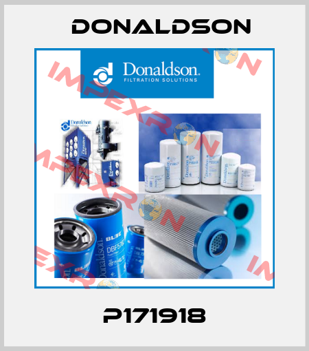 P171918 Donaldson