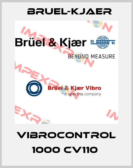 VIBROCONTROL 1000 CV110  Bruel-Kjaer
