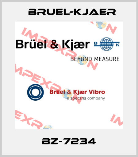 BZ-7234 Bruel-Kjaer