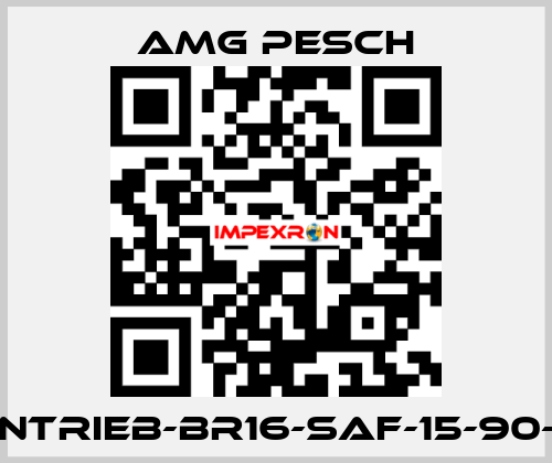 AMG-Antrieb-BR16-SAF-15-90-01-n=12 AMG Pesch