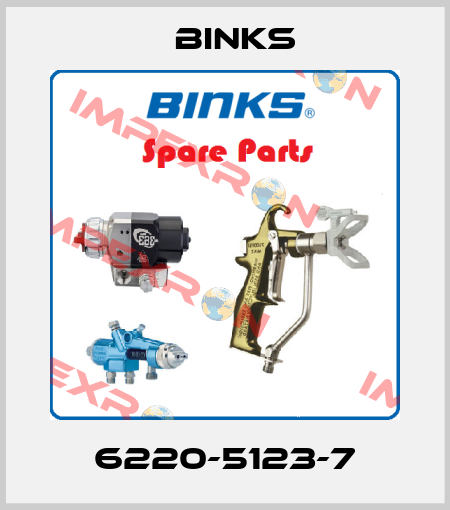 6220-5123-7 Binks