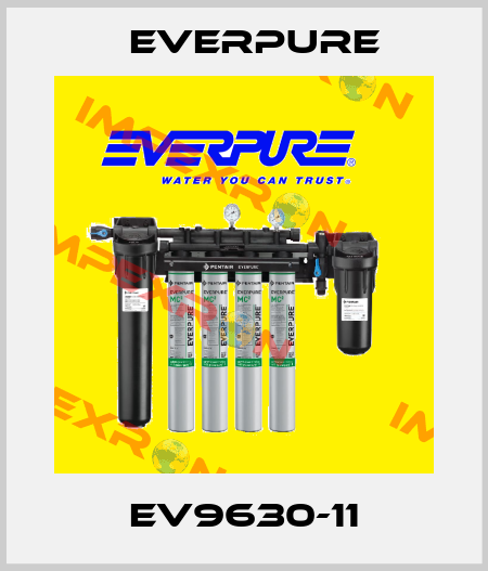 EV9630-11 Everpure