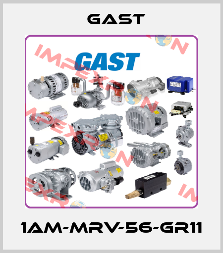 1AM-MRV-56-GR11 Gast