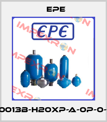 1.0013B-H20XP-A-0P-0-P Epe