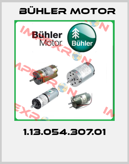 1.13.054.307.01 ОЕМ Bühler Motor