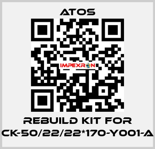 rebuild kit for CK-50/22/22*170-Y001-A Atos