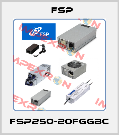 FSP250-20FGGBC Fsp