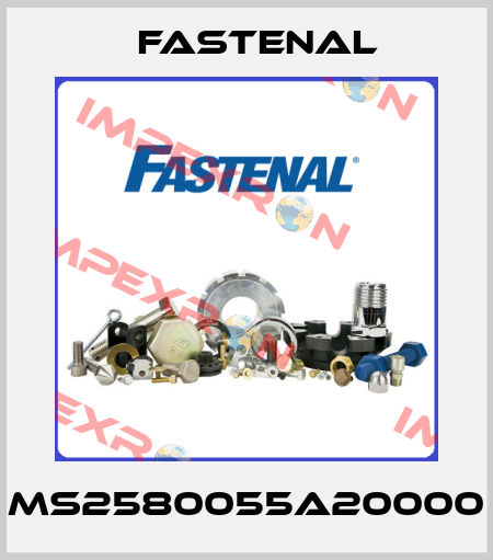 MS2580055A20000 Fastenal