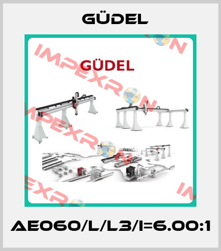 AE060/L/L3/i=6.00:1 Güdel