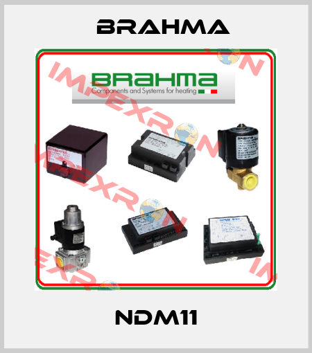 NDM11 Brahma