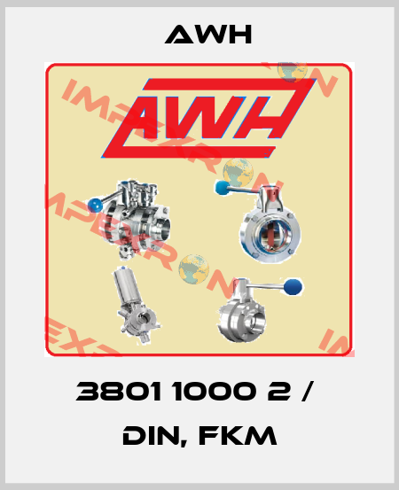 3801 1000 2 /  DIN, FKM Awh