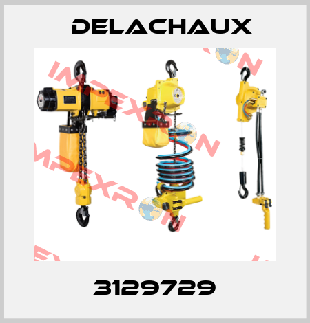 3129729 Delachaux