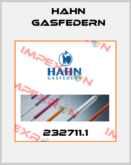 232711.1 Hahn Gasfedern