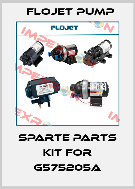 Sparte Parts Kit For G575205A Flojet Pump