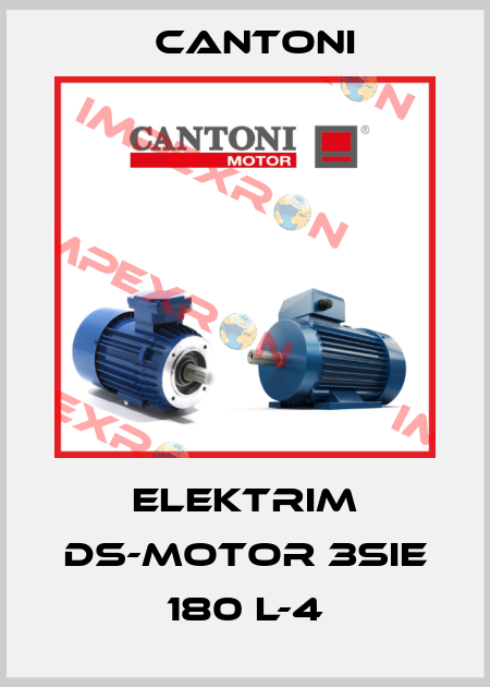 Elektrim DS-Motor 3SIE 180 L-4 Cantoni