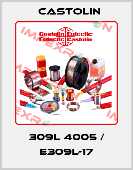 309L 4005 / E309L-17 Castolin