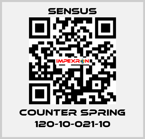 Counter spring 120-10-021-10 Sensus