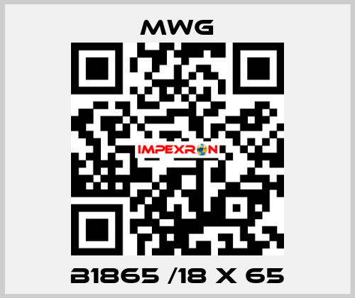 B1865 /18 x 65 MWG