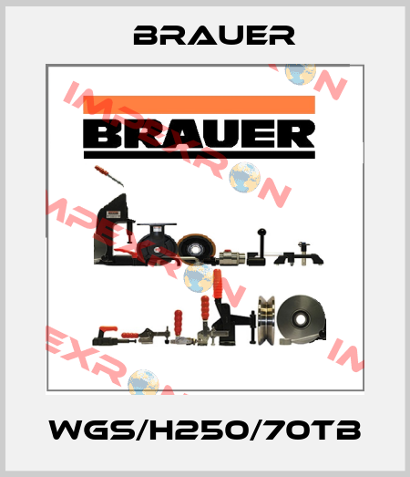 WGS/H250/70TB Brauer
