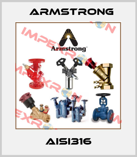 AISI316 Armstrong