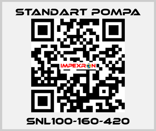 SNL100-160-420 STANDART POMPA