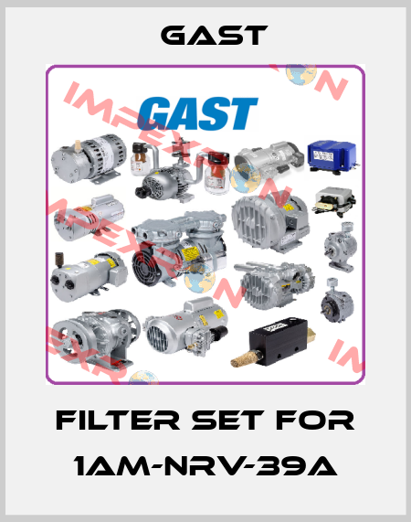 Filter set for 1AM-NRV-39A Gast